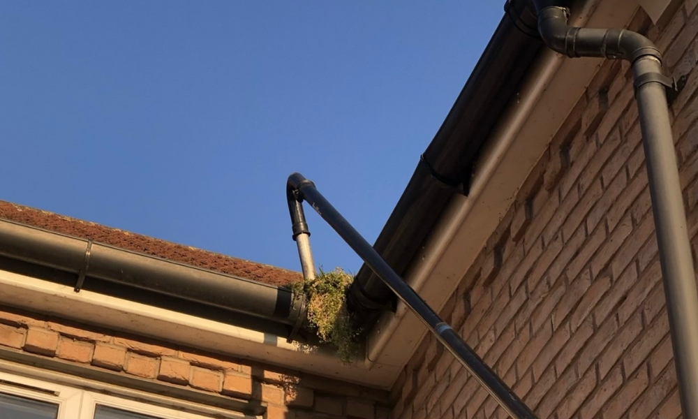 Why Autumn Is One of the Best Times to Have Your Gutters Cleaned